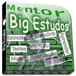 Big Mentor System Studies (1 year access) 